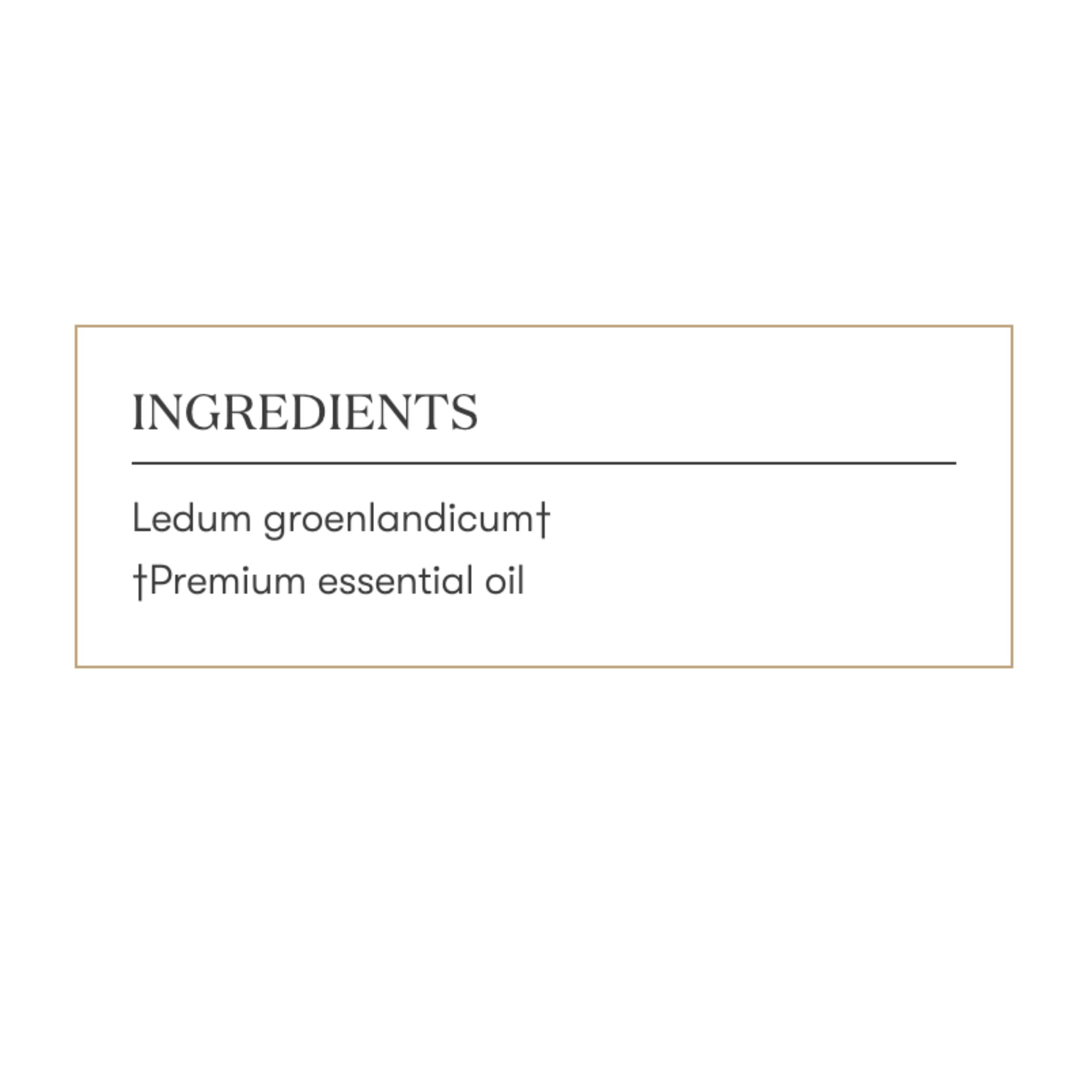 Ledum Premium: ambiente sagrado para rituales y oraciones.