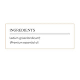 Ledum Premium: ambiente sagrado para rituales y oraciones.