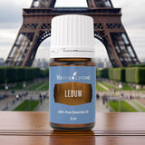 Ledum Premium: ideal para meditación y yoga en casa.