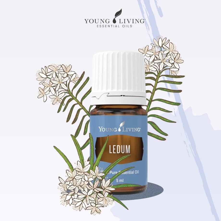 Ledum Premium: destilación al vapor garantiza aroma puro y natural.