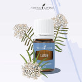 Ledum Premium: destilación al vapor garantiza aroma puro y natural.