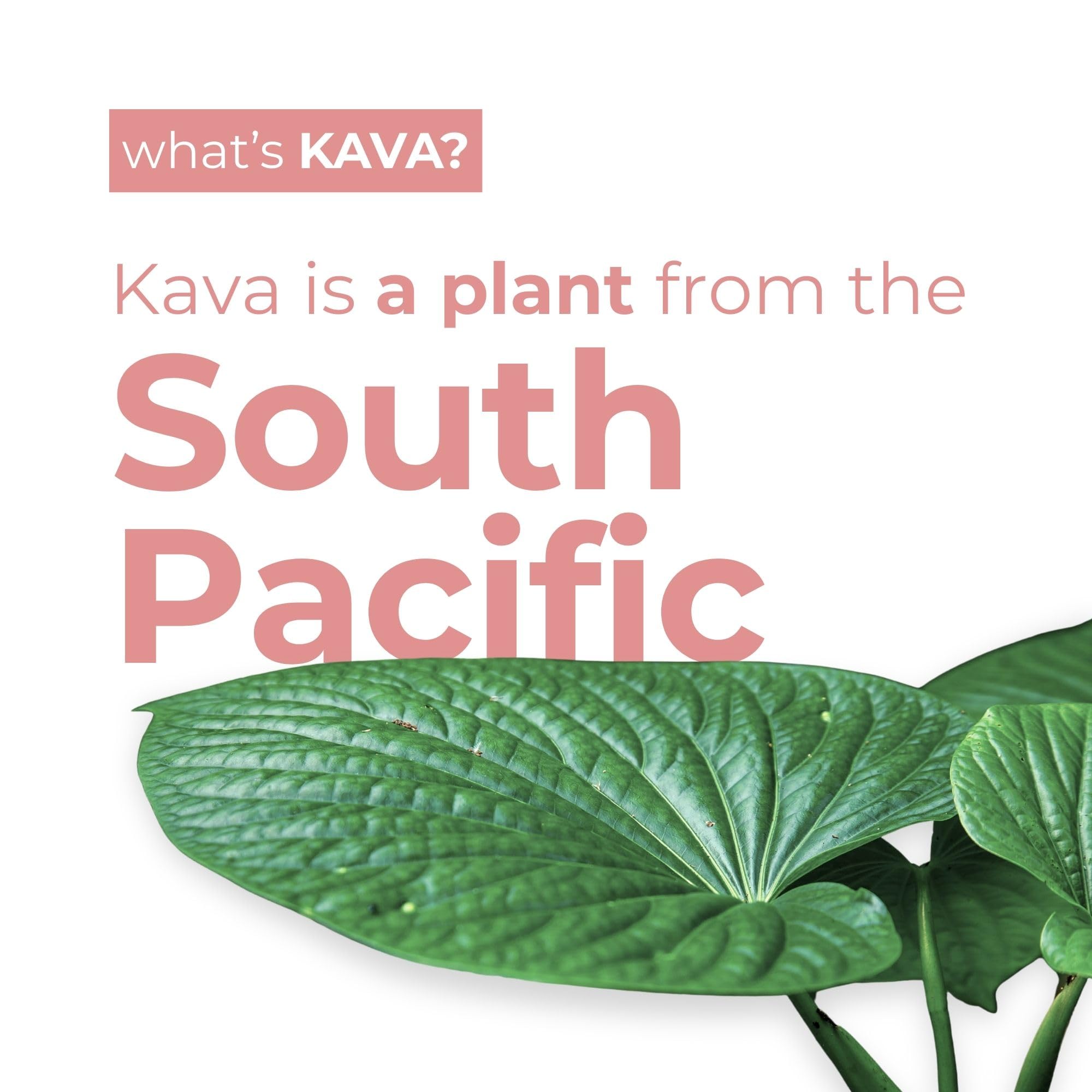 Lata LEILO Kava con burbujas frambuesa hibisco, sabor afrutado y floral.