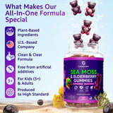LetaGreen gominolas: fabricadas en instalaciones GMP y analizadas para calidad.