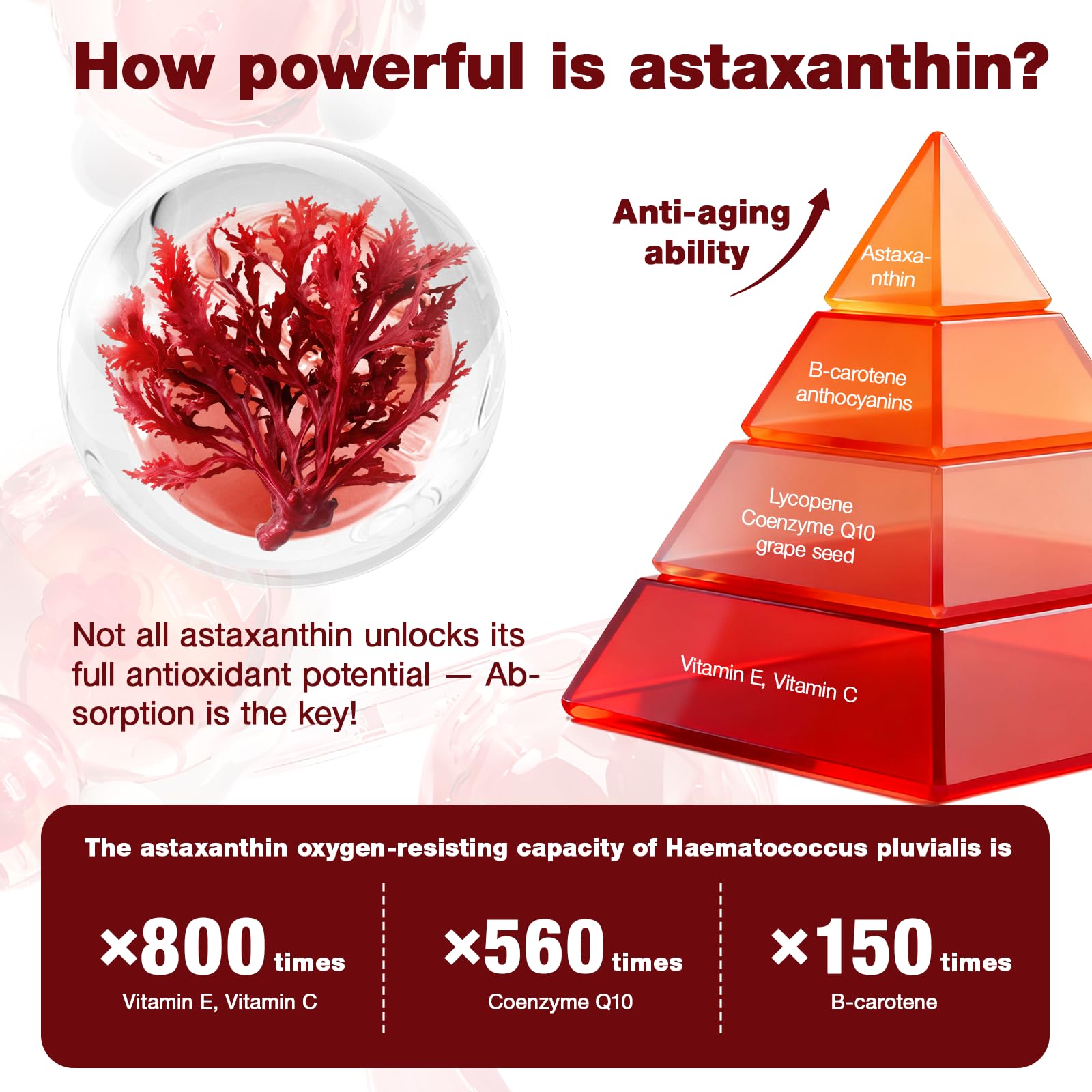 Letollhold Astaxantina 12 mg: frasco transparente muestra cápsulas de color ámbar.