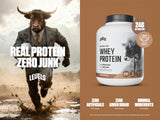 Levels Pure Chocolate Whey Powder with scoop, smooth mixability for shakes.