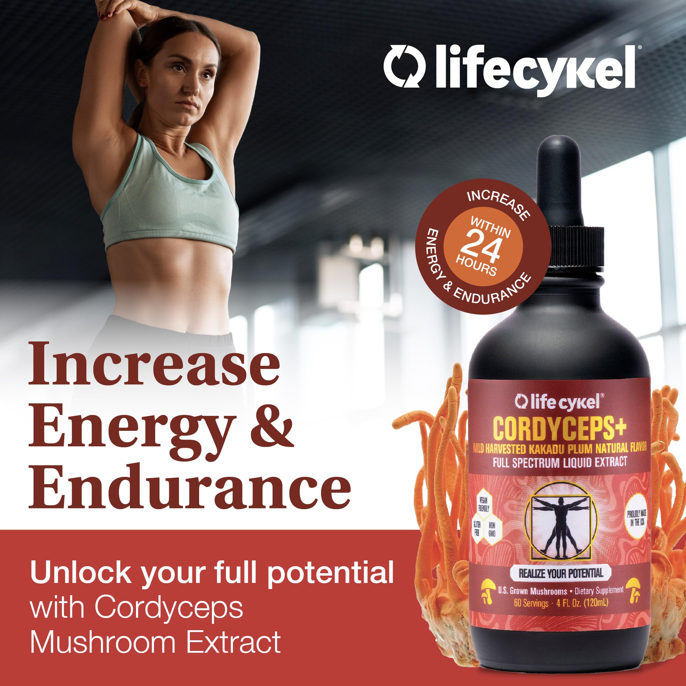 Life Cykel Conjunto Chaga hongo, sabor terroso para ritual diario.