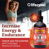 Life Cykel Conjunto Chaga hongo, sabor terroso para ritual diario.