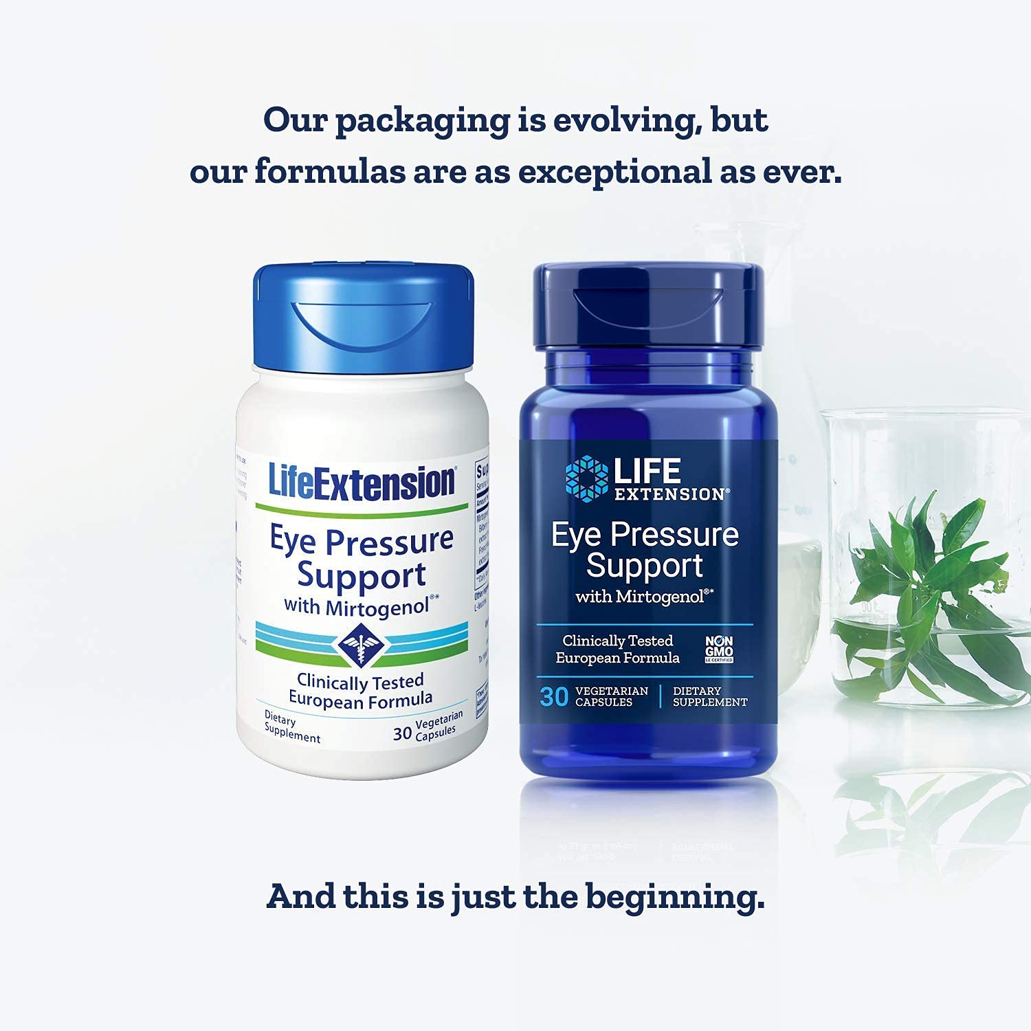 Cápsulas Life Extension Eye Pressure Support, 30 VCaps, para uso sostenido.