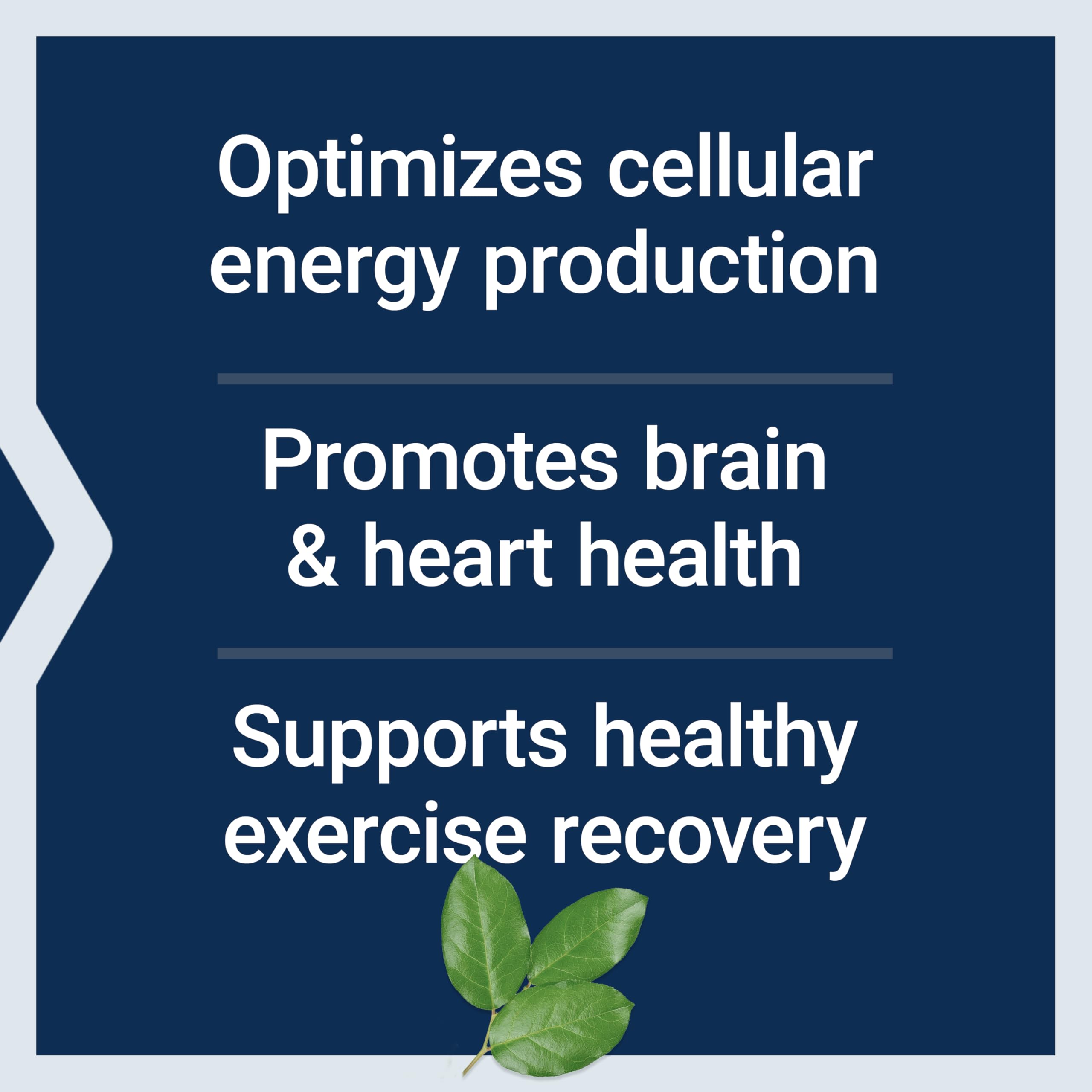 Life Extension Optimized Carnitine: ingredientes clave de la fórmula triple forma