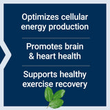 Life Extension Optimized Carnitine: ingredientes clave de la fórmula triple forma