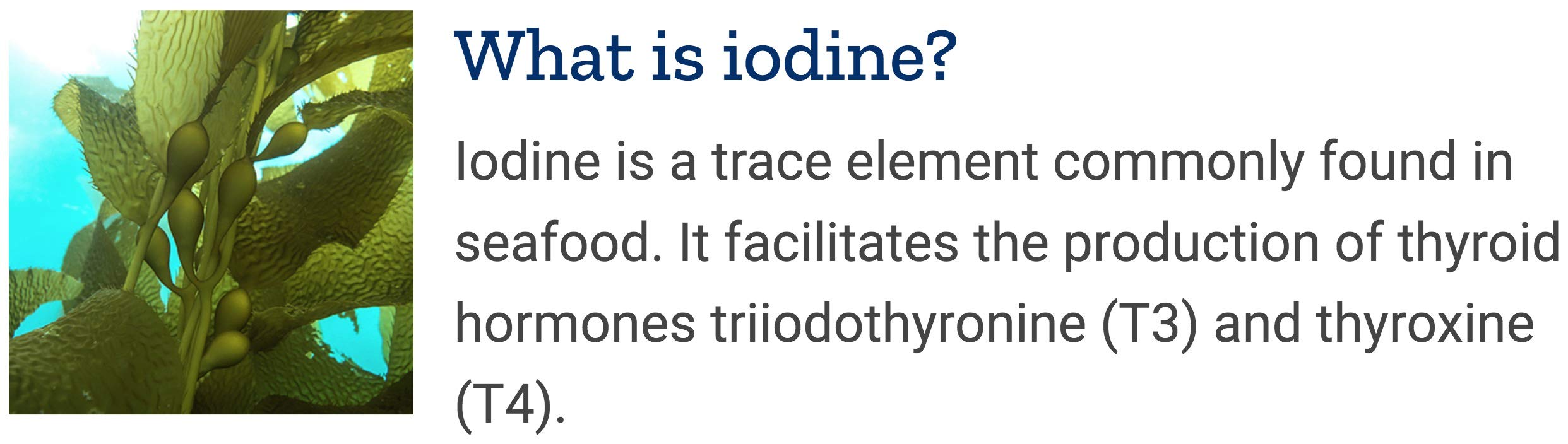 Life Extension Sea Iodine: etiqueta que destaca origen marino y algas