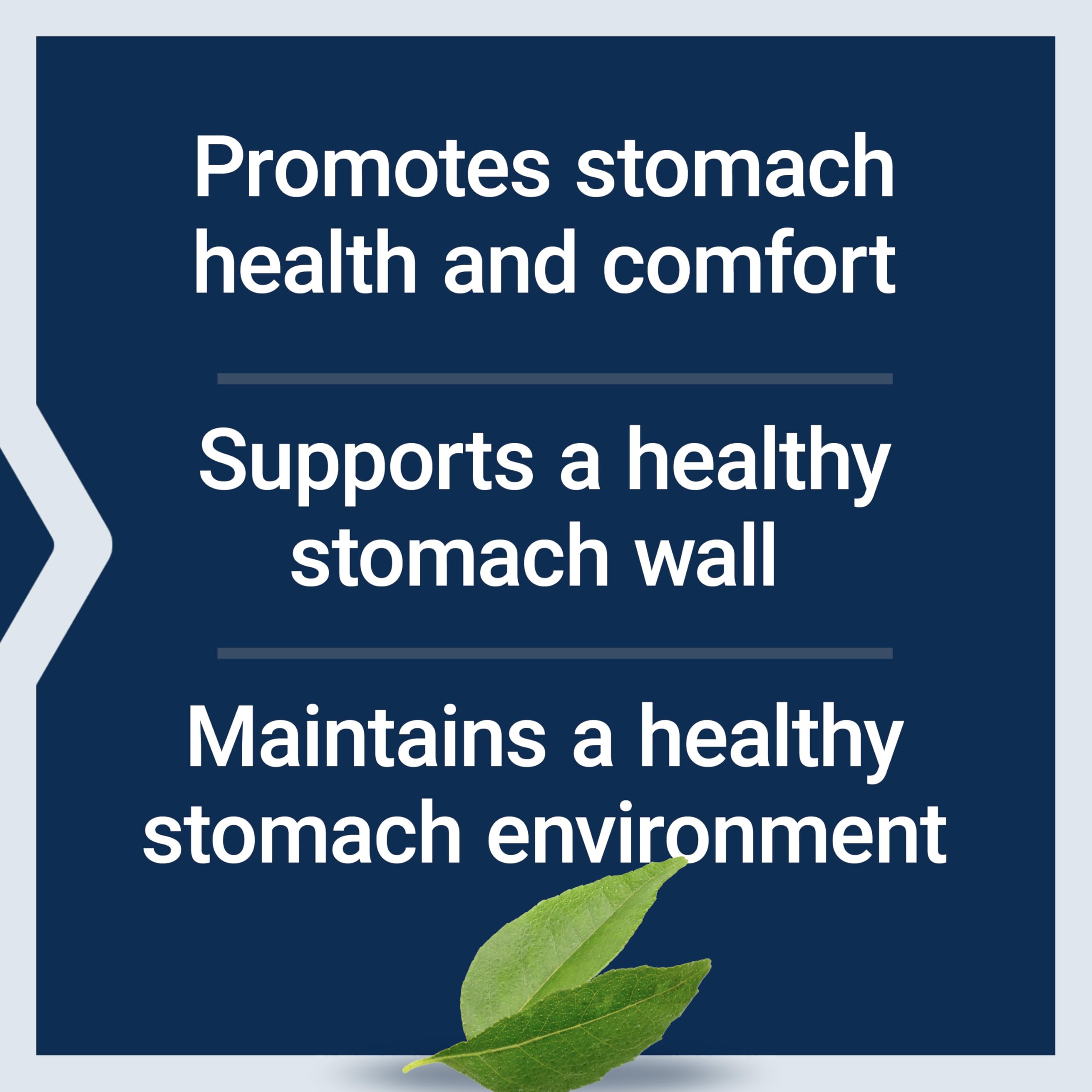Life Extension Gastro-Ease: cápsulas con zinc L-carnosina para salud estomacal