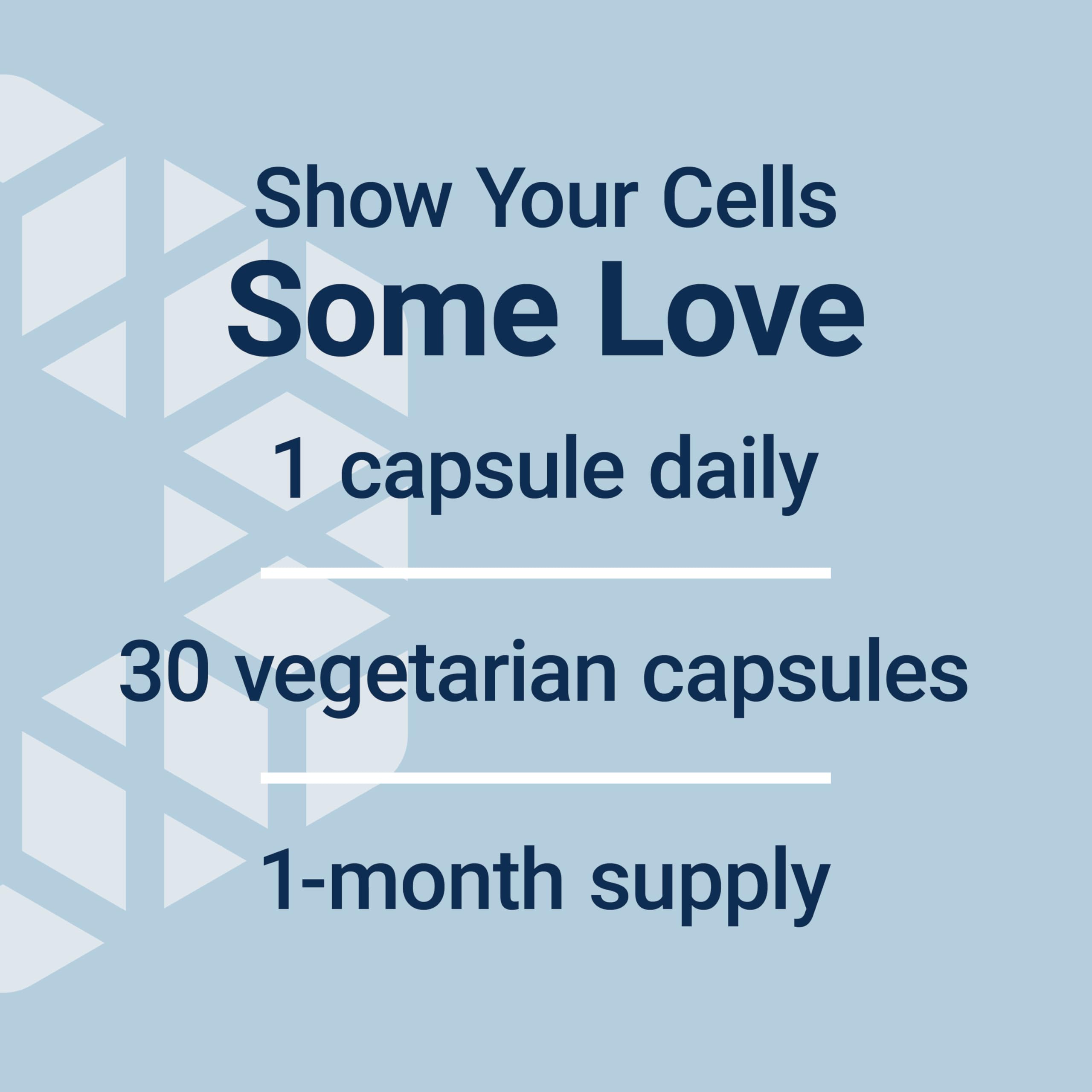 Life Extension GEROPROTECT Autophagy Renew, piperlongumine destacado, apoyo al ciclo celular.