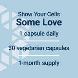 Life Extension GEROPROTECT Autophagy Renew, piperlongumine destacado, apoyo al ciclo celular.