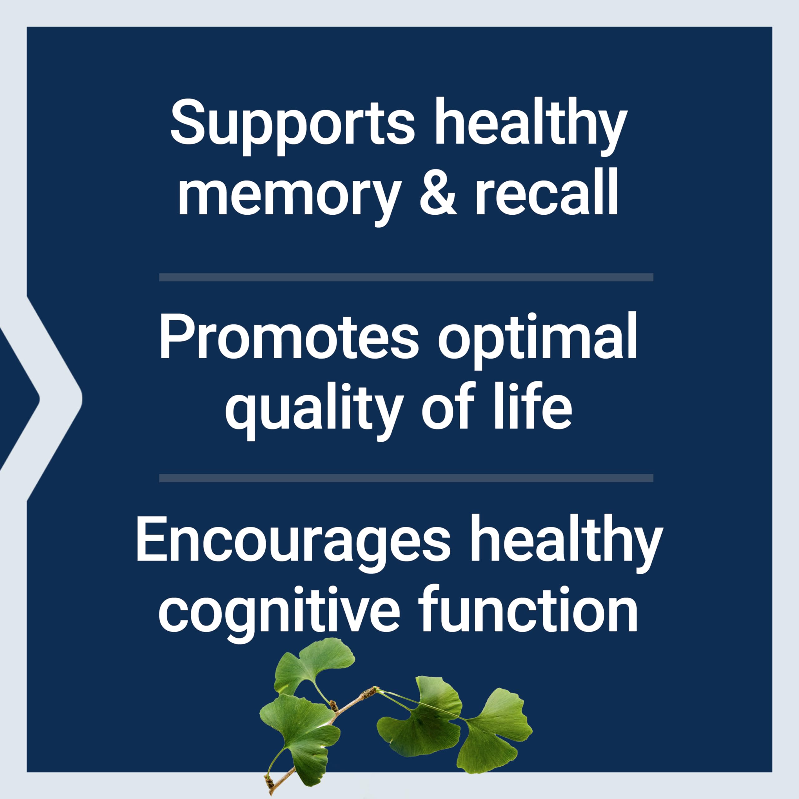 Life Extension Ginkgo Biloba: caja externa que resalta ingredientes estandarizados y control de calidad