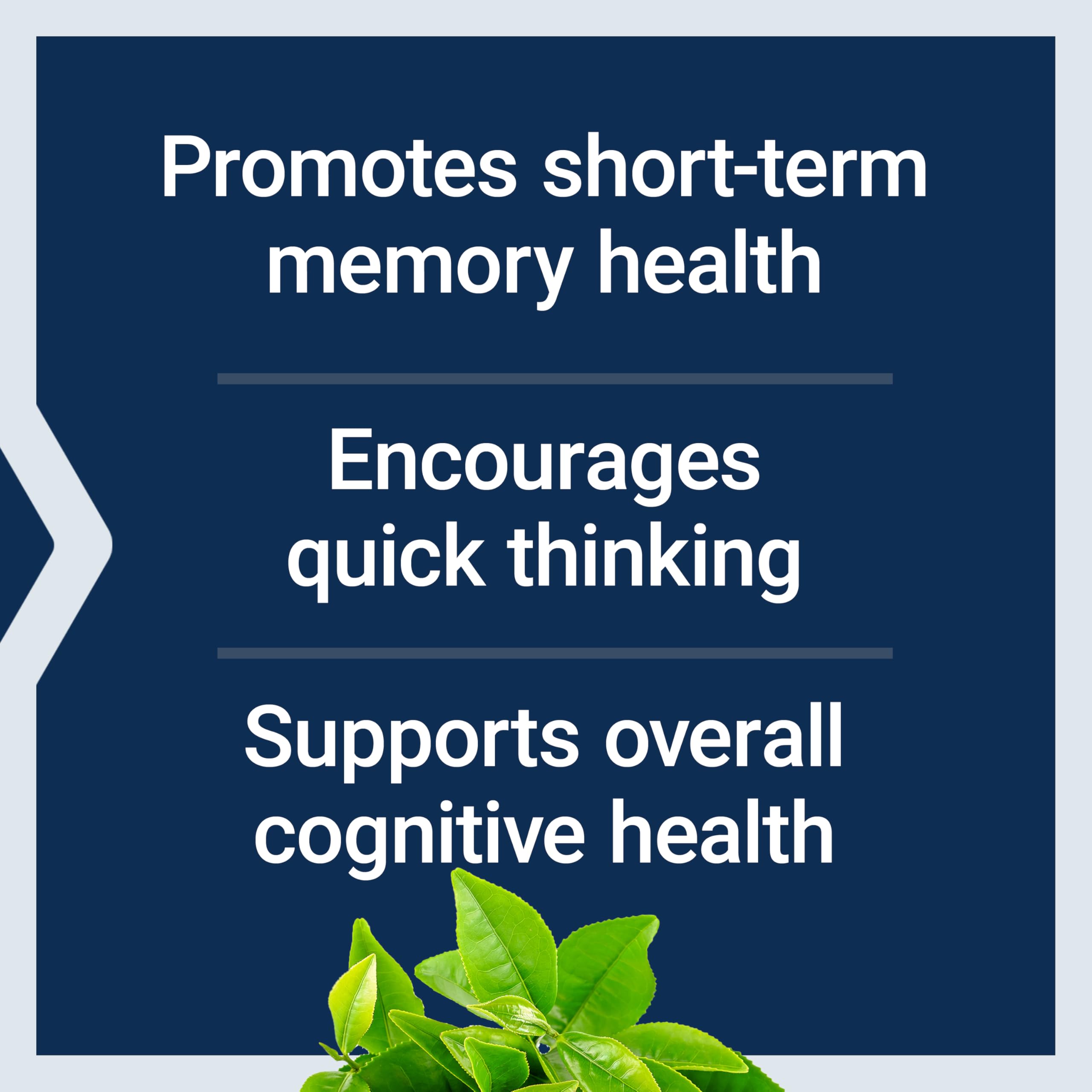 Life Extension Neuro-Mag: ingredientes de calidad para salud cerebral