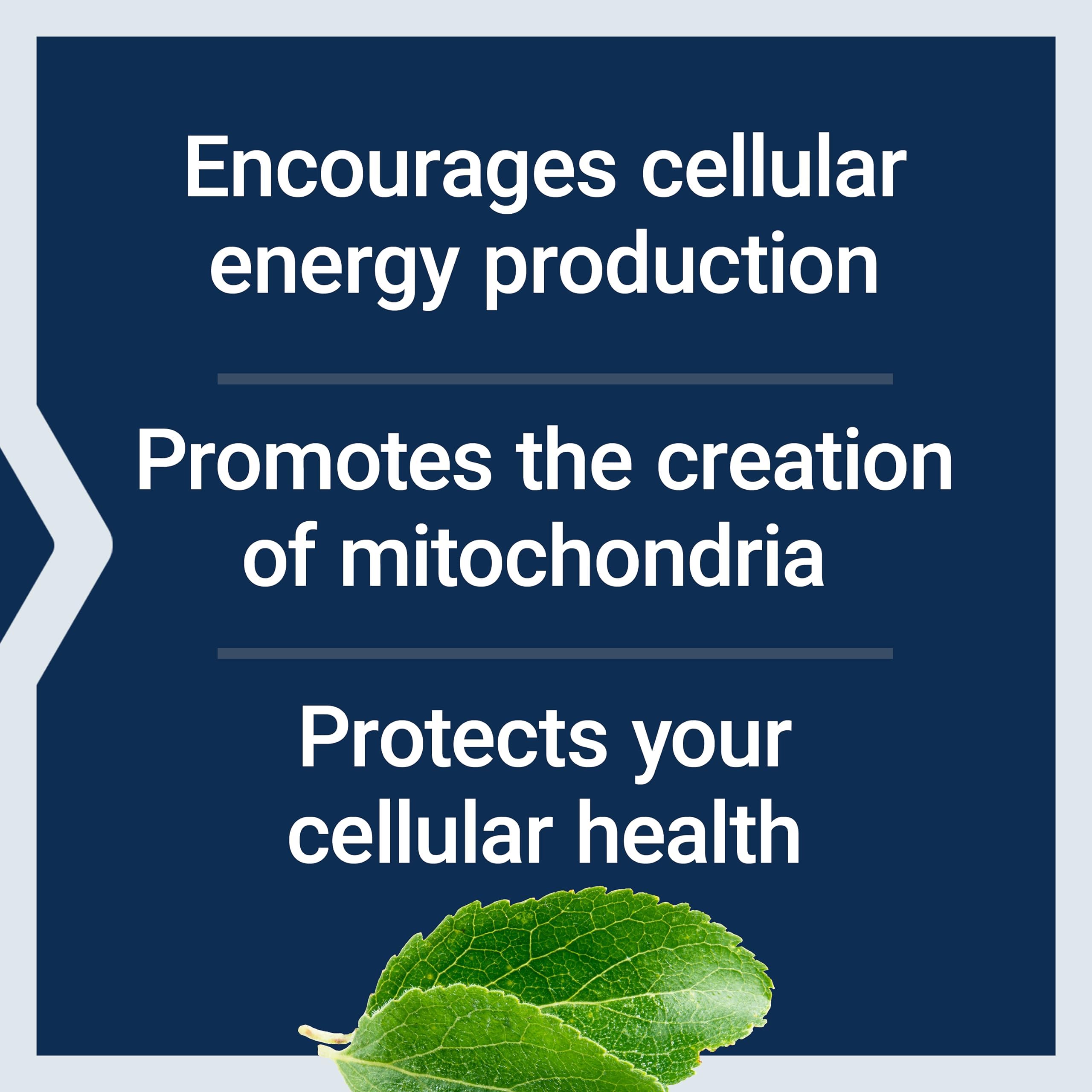 Life Extension Optimizador Mitocondrial primer plano de cápsulas, beneficios potenciales