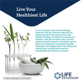 Life Extension TMG 500mg: dosis diaria recomendada para uso matutino.