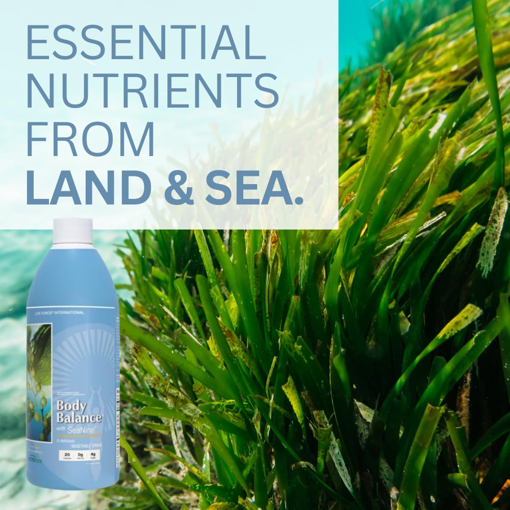 Life Force Balance miel natural, sabor suave y aporte nutritivo.
