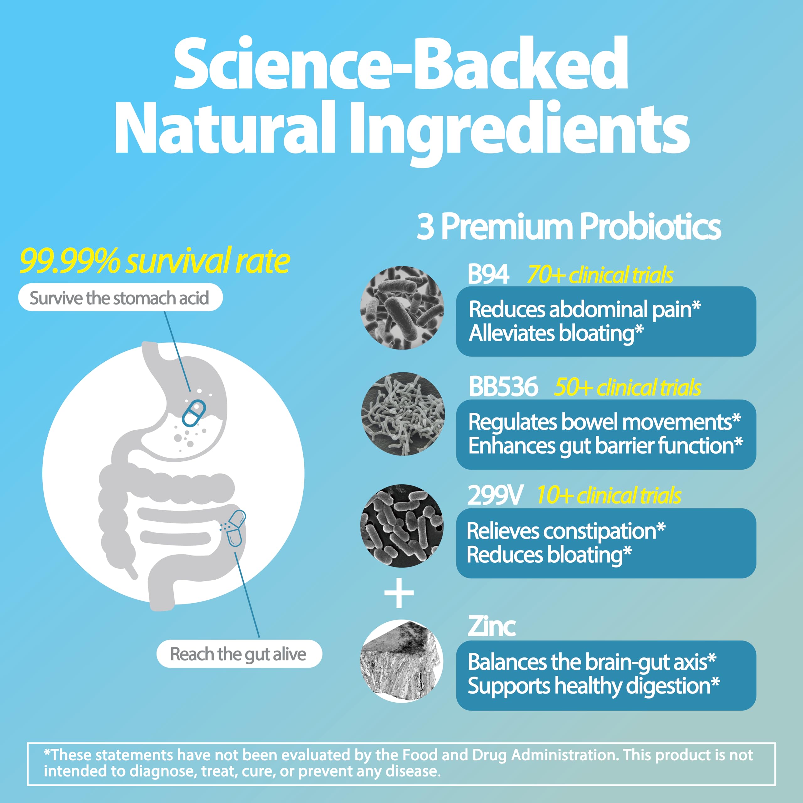 Life-Space cepas Bifidobacterium longum BB536 para salud intestinal.