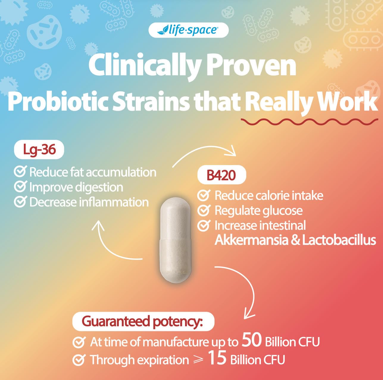 Life-Space Shape B420 Probiotics, caja interna con dosis y porciones