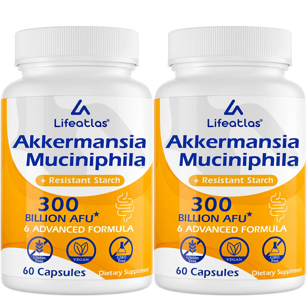 Lifeatlas Akkermansia en botella de 120 cápsulas con 300 mil millones de AFU.