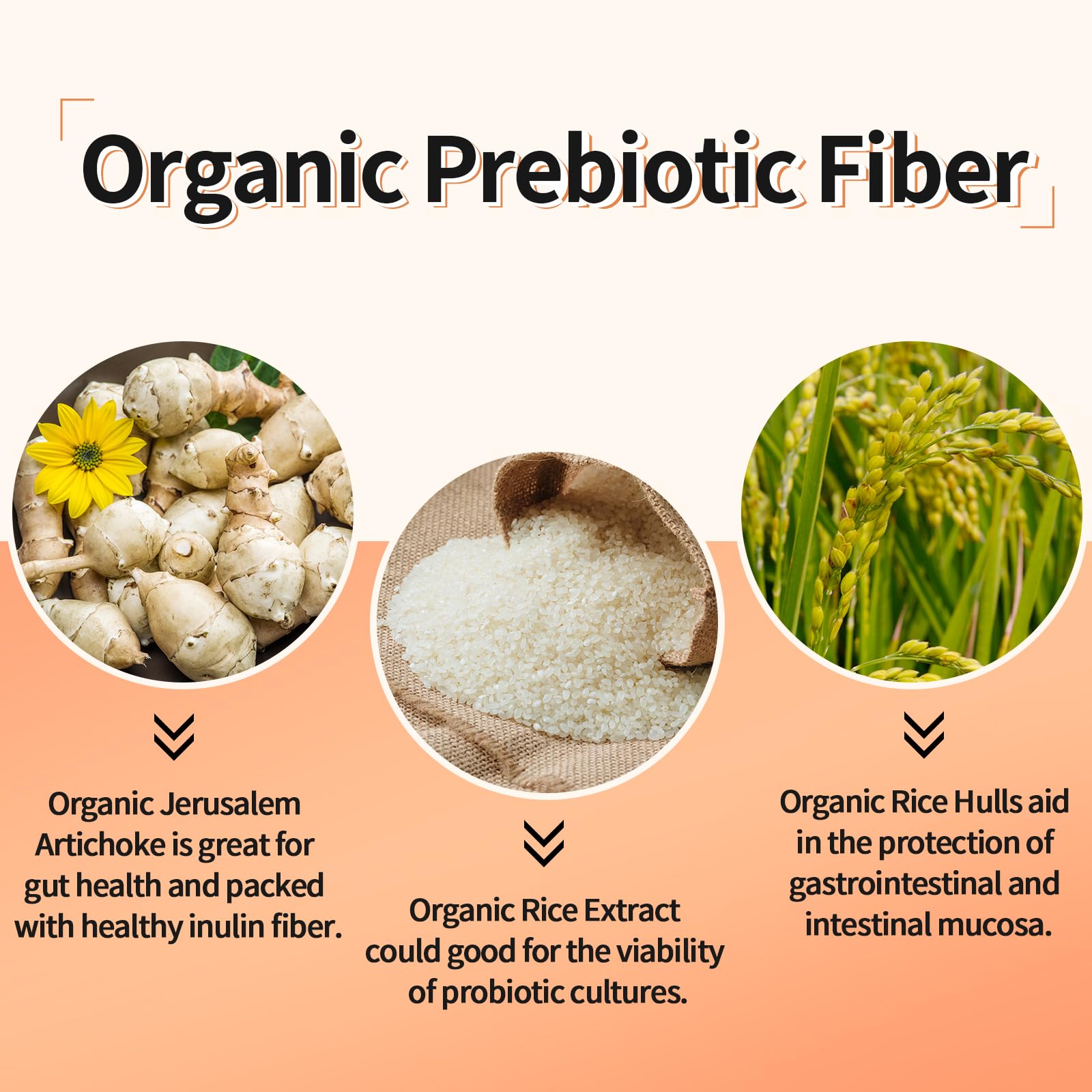 Lifeatlas prebiotico orgánico que apoya la digestión y el equilibrio.
