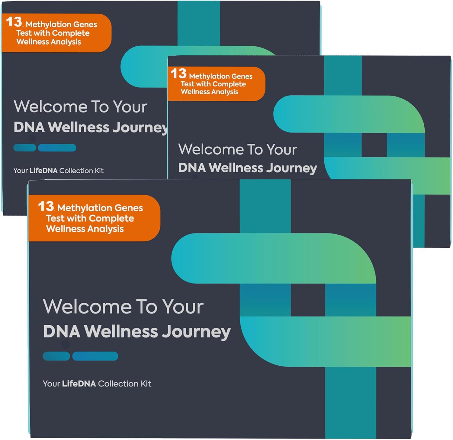 Prueba de metilación de Lifedna de 13 genes para bienestar personalizado.