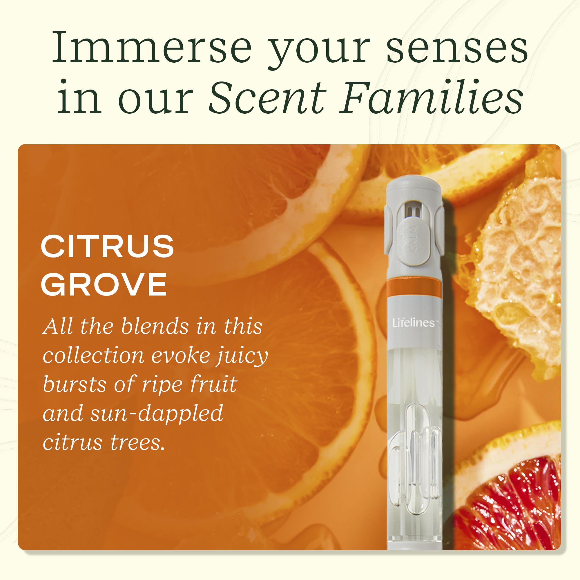 Detalle del envase Citrus Grove para aroma fresco mientras trabajas.