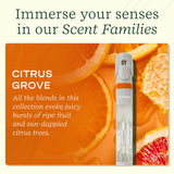 Detalle del envase Citrus Grove para aroma fresco mientras trabajas.