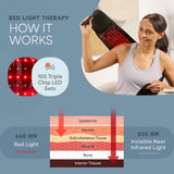 LifePro cinturon luz roja ajuste cómodo para uso diario.