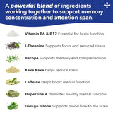 LifeSeasons Focus-R, Yerba Mate, aporte de alerta natural.