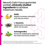LifeSeasons NeuroQ gomitas textura dulce y atractiva para consumo diario