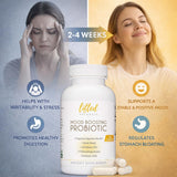 Lifted Naturals Mood Probiotic: cápsulas alineadas para rutina diaria