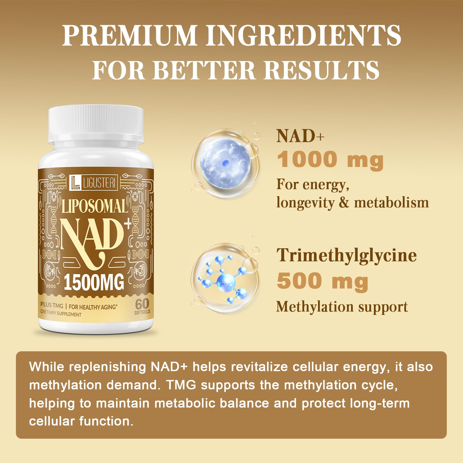 Etiqueta de LIGUSTERI NAD liposomal, información de ingredientes.