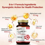 LIIFE combinación de ácido alfa-lipoico y PQQ, defensa antioxidante para células.