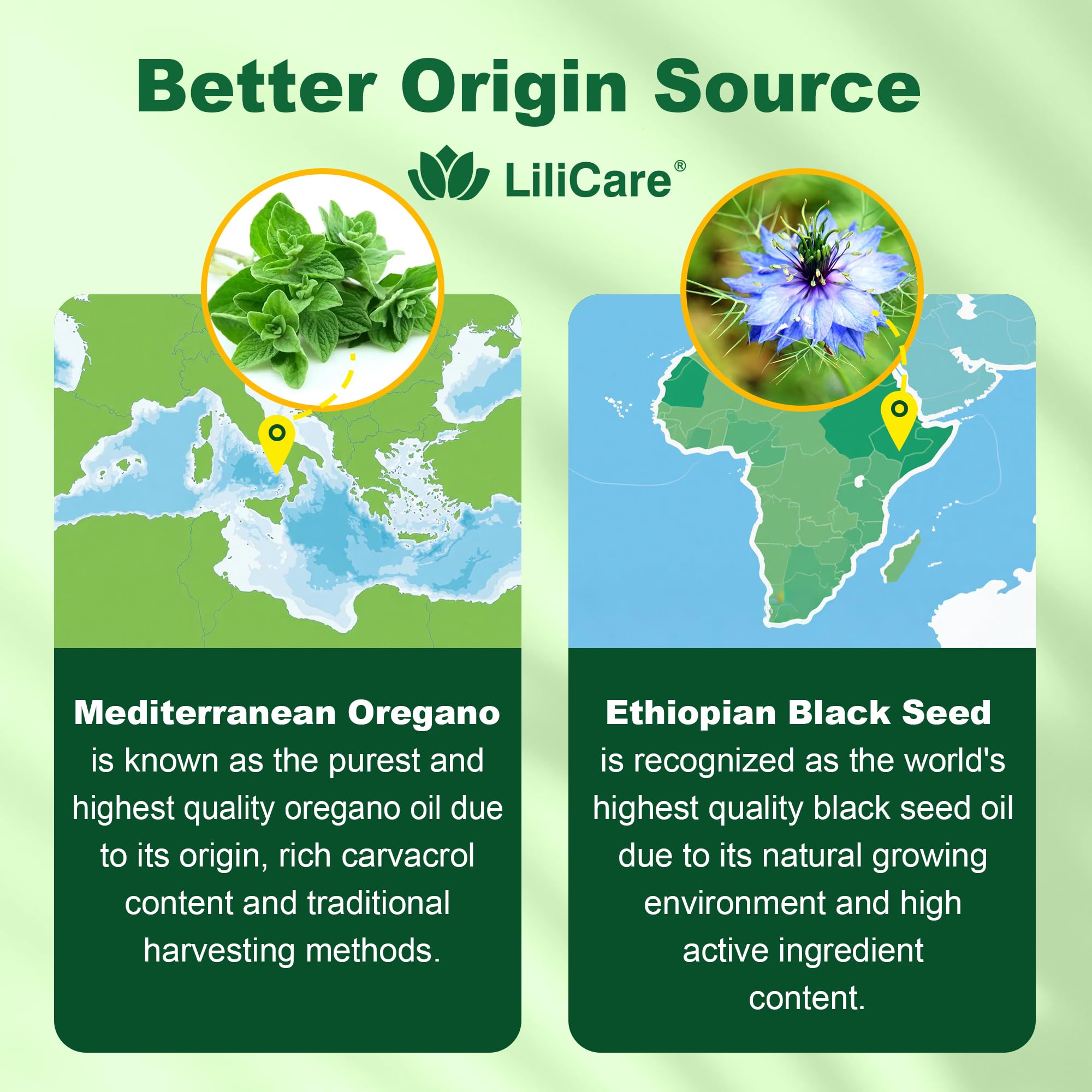 Lilicare aceite de orégano mediterráneo de origen silvestre