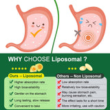 Lilicare tecnología liposomal encapsulada mejora absorción y tolerancia estomacal