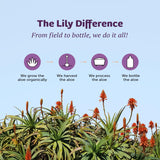 Lily Of The Desert Aloe Vera 80 Gel caja destacada para almacenamiento fácil.