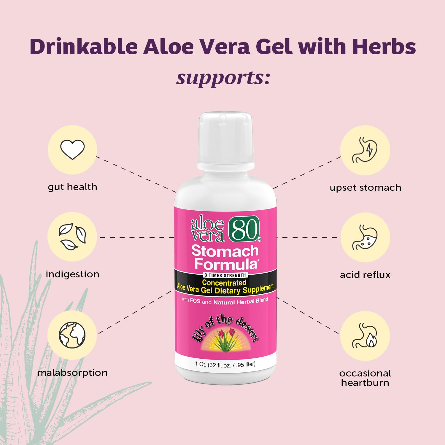Lily Of The Desert Aloe Vera 80 Gel pack triple, ahorro para la familia.