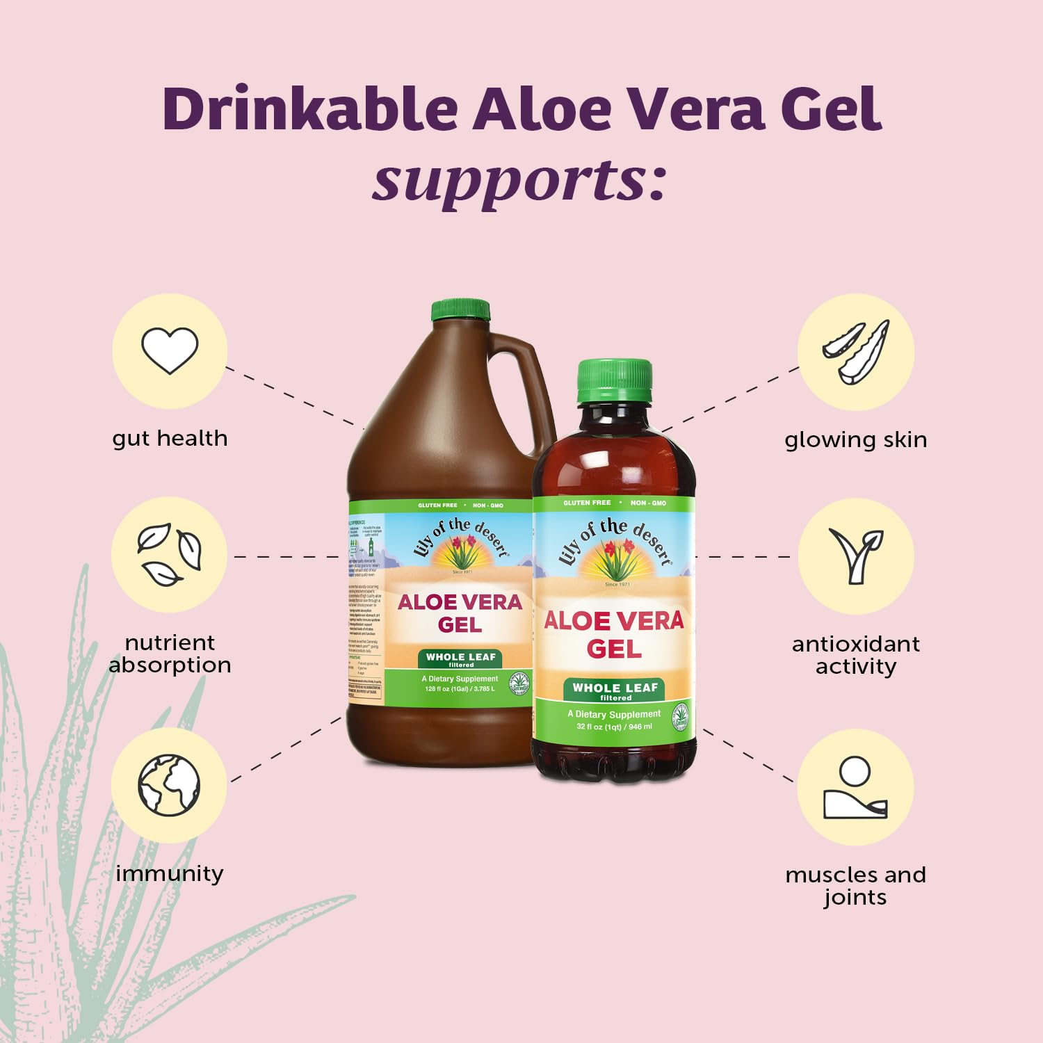 Lily Of The Desert Aloe Vera Gel, etiqueta clara, confianza en producto vegetal natural.