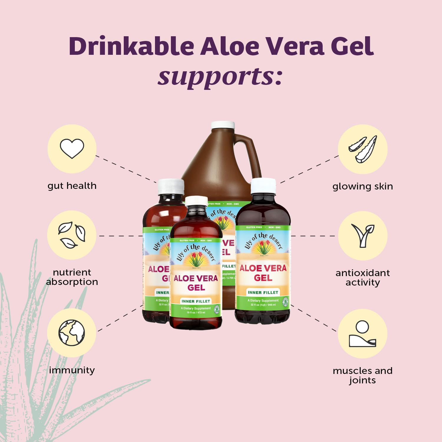 Etiqueta natural de Lily of the Desert Aloe Gel con ingredientes simples