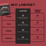 Lineage Provisions Creatina Micronizada para uso rápido en entrenamientos