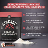 Lineage Provisions Creatina Micronizada con sal marina mejora disolución en agua
