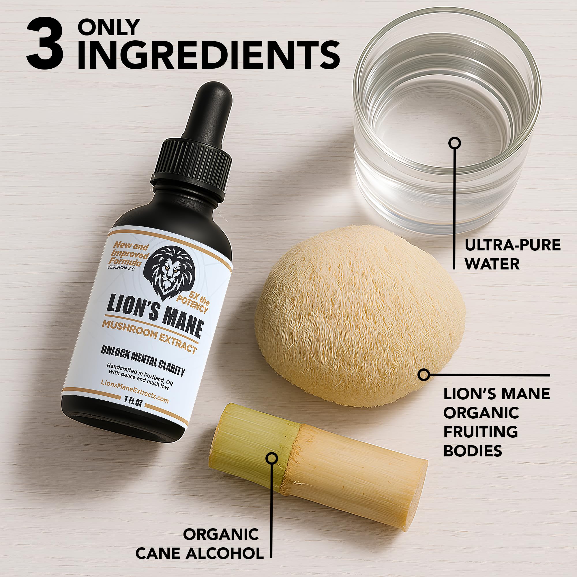 LionsManeExtracts.com: dosis de 2 ml para uso diario flexible.