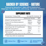 Lithios Brain Fuel Plus polvo frambuesa azul, sabor refrescante para hidratarse.