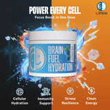Primer plano de ingredientes clave de Lithios Brain Fuel Plus.