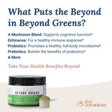 Live Conscious Beyond Greens, envase práctico para uso diario en casa o viaje.