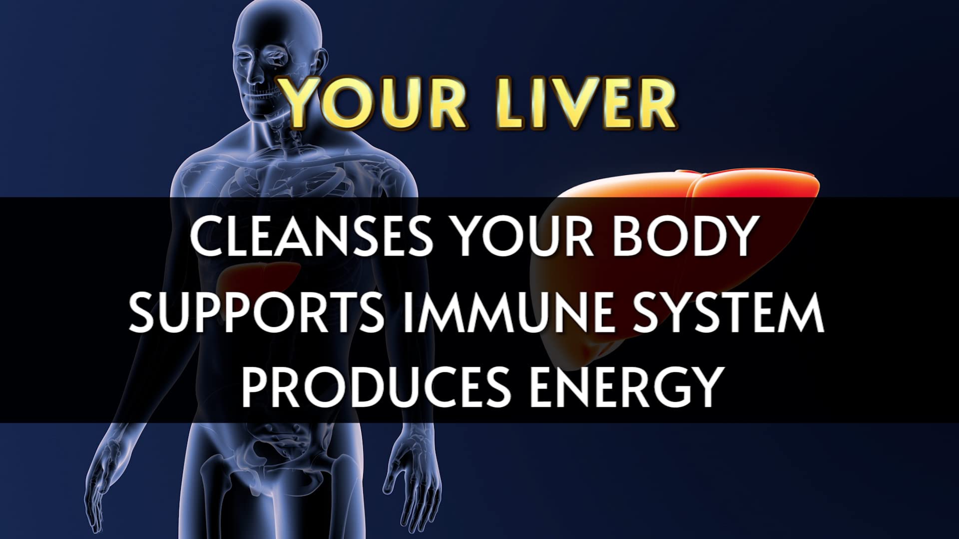 Fábrica en EE. UU. que fabrica Liver Aid con certificación GMP