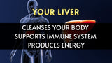 Fábrica en EE. UU. que fabrica Liver Aid con certificación GMP